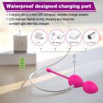 66W-030-Vibrator Kegal Balls/ Egg Powerful G-Spot Vibrator Love Egg Jump Ball Sex Toys Goods For Adults Women(Rose Pink) - Image 9